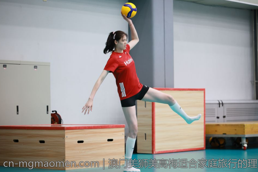 澳门美狮美高梅适合家庭旅行的理由