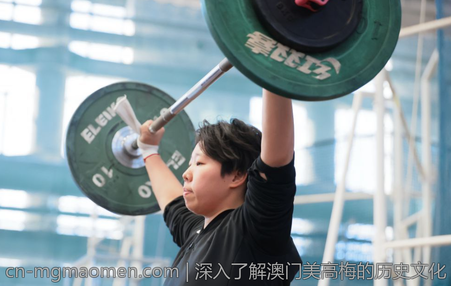 深入了解澳门美高梅的历史文化