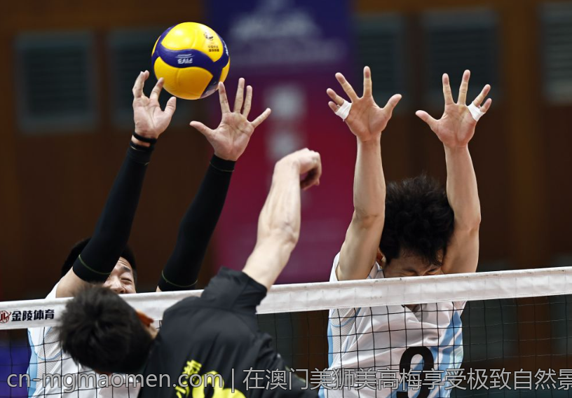 在澳门美狮美高梅享受极致自然景观